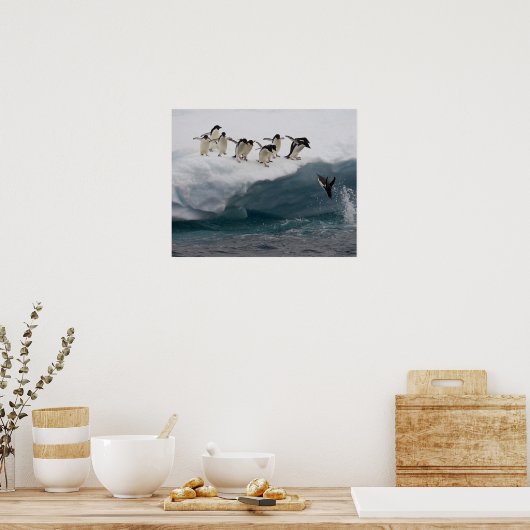 Adelie Penguins duikt in zee Paulette Poster (Keuken)