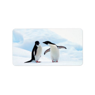 Adelie Penguins Etiket