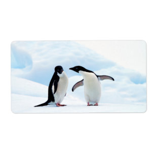 Adelie Penguins Etiket