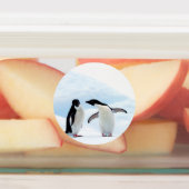 Adelie Penguins Labels (Aangebracht)