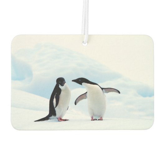 Adelie Penguins Luchtverfrisser (Achterkant)