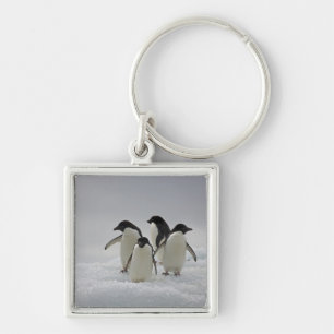 Adelie Penguins over ijsstromen Sleutelhanger
