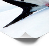 Adelie Penguins Perfect Poster (Hoek)