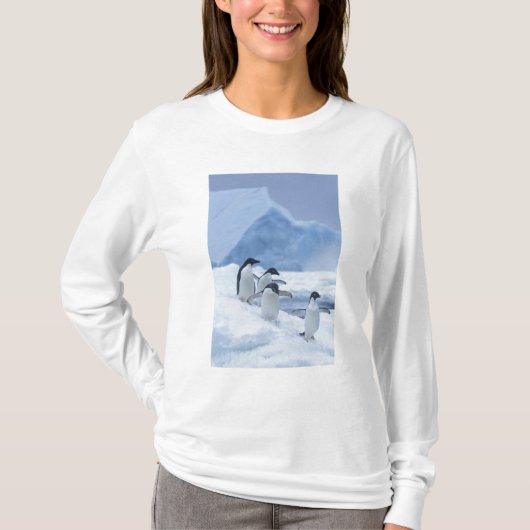 Adelie Penguins (Pygoscelis adeliae) op ijs, T-shirt (Voorkant)