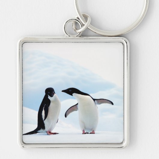 Adelie Penguins Sleutelhanger (Voorkant)