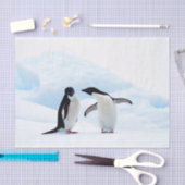Adelie Penguins Tissuepapier (Craft)