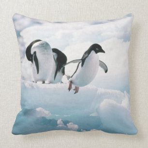 Adelie pinguïns (pygoscelis adeliae) Antarctica Kussen