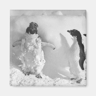 Adeliemanchot Magneet