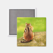 Adem gewoon Chipmunk Magnet in Magneet (Voorkant / Achterkant)