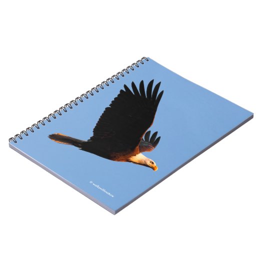 Adembenemende Bald Eagle tijdens de winterzonsonde Notitieboek (Linkerzijde)