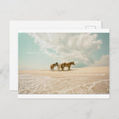 Ademende dromen als briefkaart (Voorkant / Achterkant)