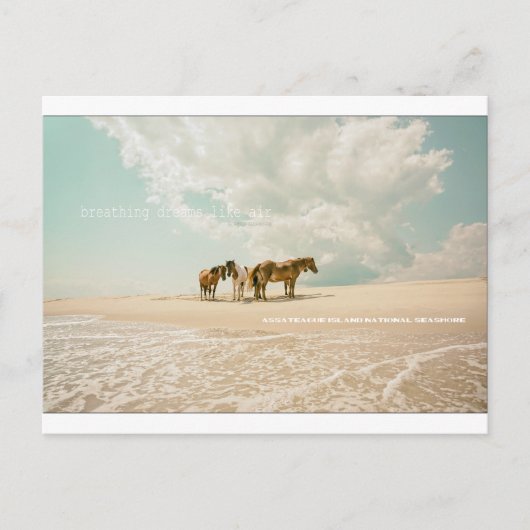 Ademende dromen als briefkaart (Voorkant)