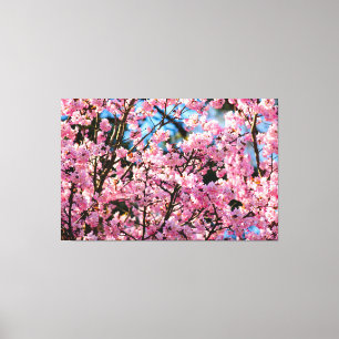 Ademhaling van de Sakura-boom in het roze blok van Canvas Afdruk
