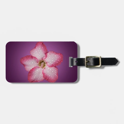 Adenium Roze Bloem Flora Gradiënt Violet Bagagelabel (Voorkant horizontaal)