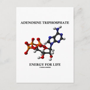 Adenosine Trifosfaat (ATP) Energie voor leven Briefkaart