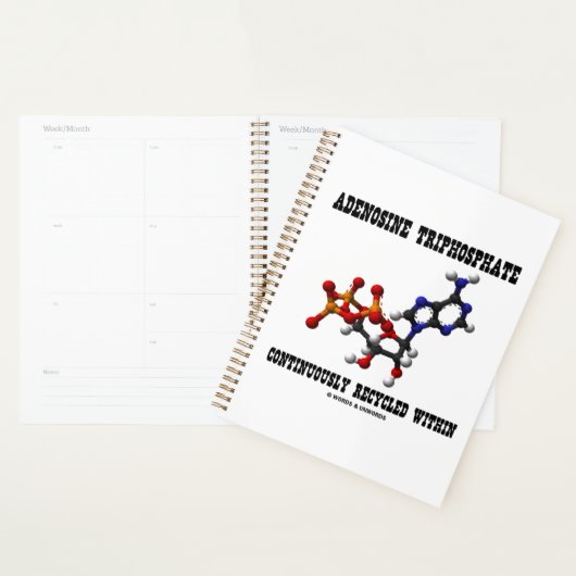 Adénosine Triphosphate ATP Recyclé en continu (Devant avec enveloppe)
