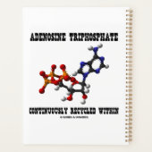 Adénosine Triphosphate ATP Recyclé en continu (Dos)