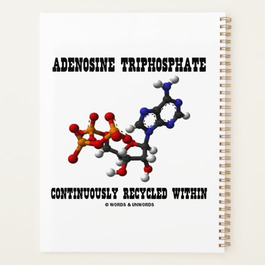 Adénosine Triphosphate ATP Recyclé en continu (Dos)