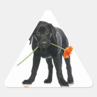 adesivo cão/flor driehoek sticker