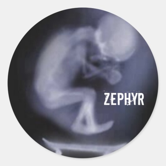 adesivo Zephyr Skate Ronde Sticker (Voorkant)
