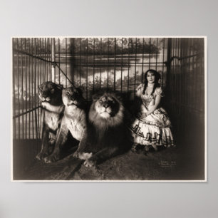 Adgie and The Lions 1899 Poster