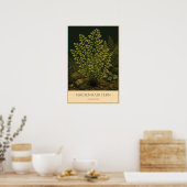 Adiantum Poster (Keuken)