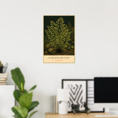 Adiantum Poster (Thuiskantoor)