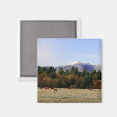 Adirondack aimant agricole (Recto/Verso)