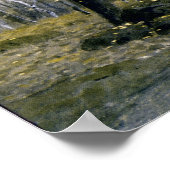 Adirondack Birches Poster (Hoek)