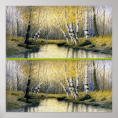 Adirondack Birches Poster (Voorkant)