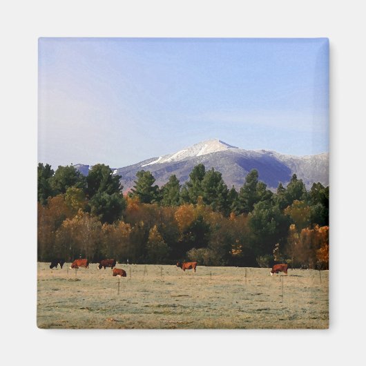 Adirondack boerderij magneet (Voorkant)