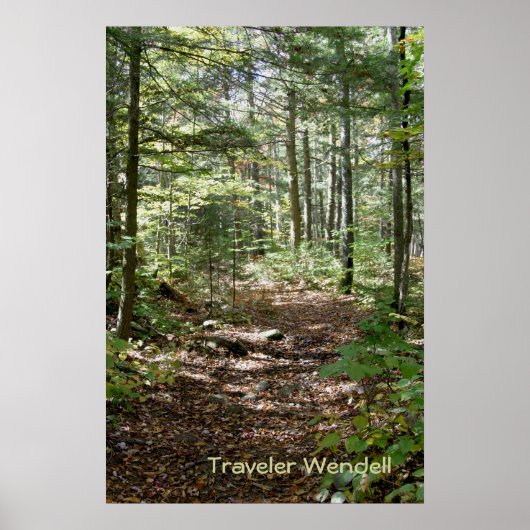 Adirondack Path Poster (Voorkant)