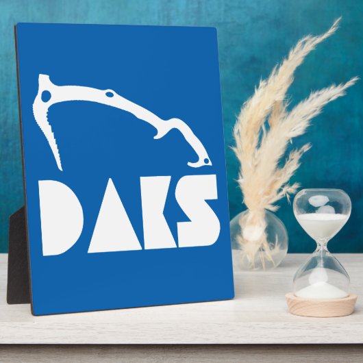 Adirondacks ijsbaan fotoplaat (Zijkant)