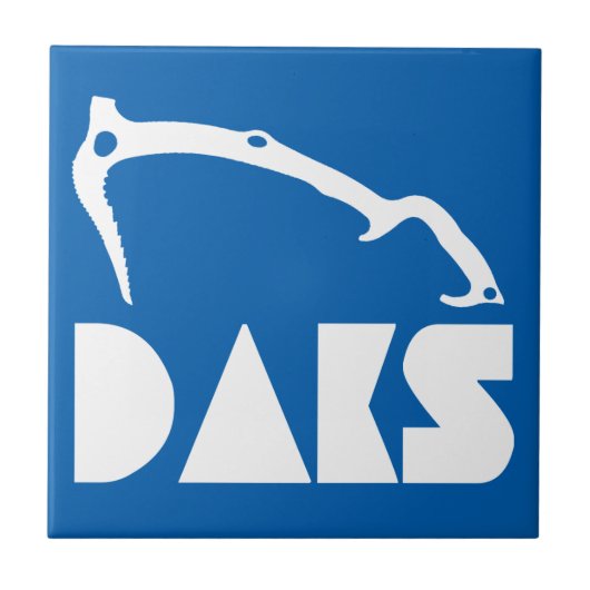 Adirondacks ijsbaan tegeltje (Voorkant)