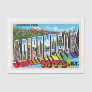 Adirondacks New York groot Briefkaart Tissuepapier