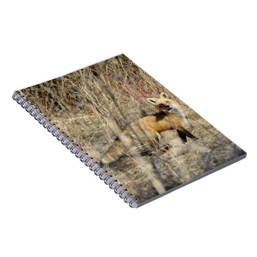 Adirondacks (NY) Red Fox Spiral notebook Notitieboek (Rechterzijde)