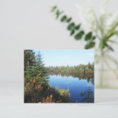 Adirondacks Upper Chub River Autumn Scene Briefkaart (Staand voorkant)