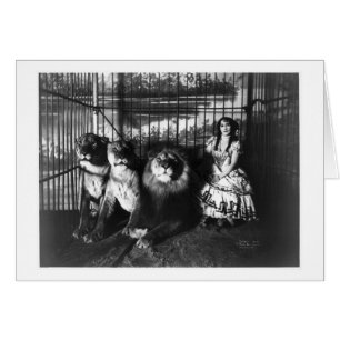 Adjie et les lions 1899