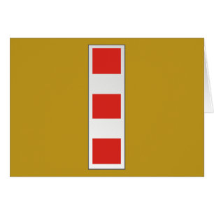 Adjudant en chef de l'usmc CWO4 4 W-4