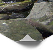 Adler Herfsten Poster (Hoek)