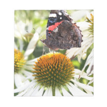 Admiraal Butterfly op Vloer