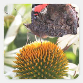 Admiraal Butterfly op Vloer Vierkante Sticker