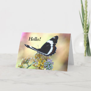 Admiral Butterfly Wenskaart Kaart