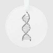 ADN amusant Cyclisme Chaîne de vélo Montagne Vélo (dos)