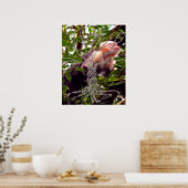 ADN ARBRE ou arbre de vie POSTER MONKEY ARRIÈRE -  (Cuisine)