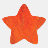 Adobe Shadows Ster Sticker (Voorkant)