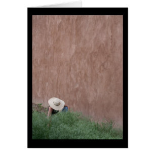 Adobe Wall & Gardener