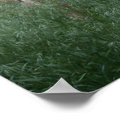 Adobe Wall & Gardener Poster (Hoek)