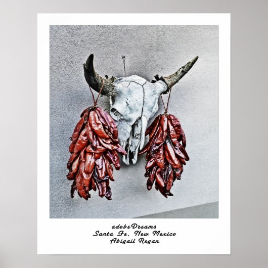 adobeDreams par Abigail Regan poster (Devant)