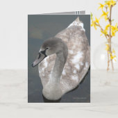 Adolescent Beauty Kaart (Gele Bloem)